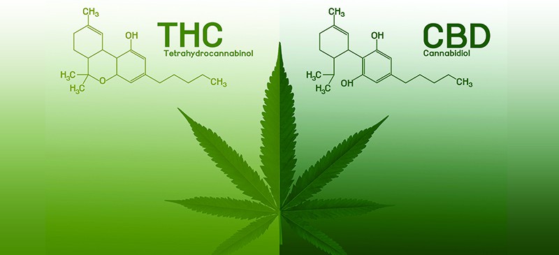 CBD & THC Products