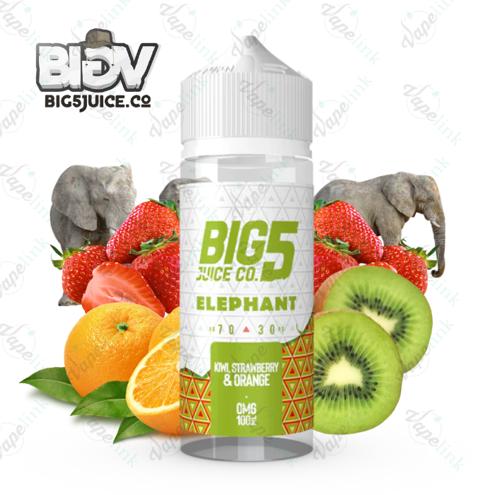 BIG 5 JUICE CO. - ELEPHANT 100ml