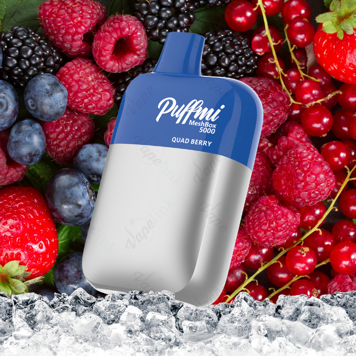 Puffmi MeshBox 5000 Rechargeable Disposable Vape