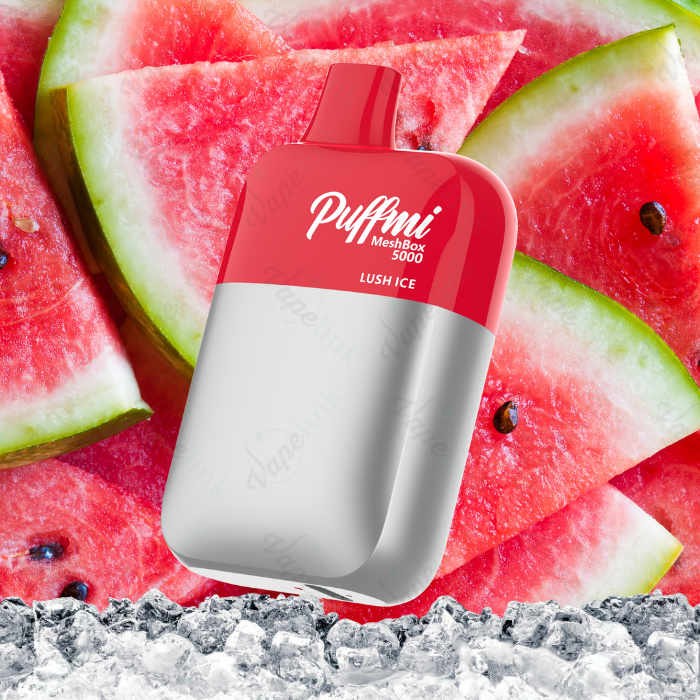 Puffmi MeshBox 5000 Rechargeable Disposable Vape