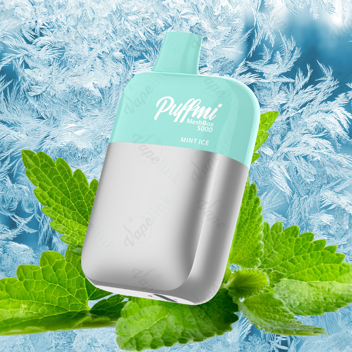 Puffmi MeshBox 5000 Rechargeable Disposable Vape